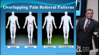 Sacroiliac Joint Pain Diagnosis and Treatments [upl. by Saied]