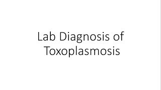 Laboratory Diagnosis of Toxoplasmosis  Parasitology [upl. by Main]