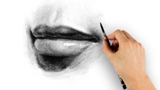 How to Draw Lips  Step by Step [upl. by Acired]