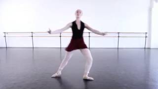 Learn Ballet  Pas De Bourree [upl. by Ocirderf946]