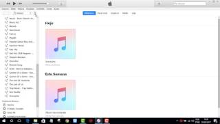 Como passar as musicas do PC para o iPhone 4 5 6 6s 7 8 XS e 11 Atualizado 2021 [upl. by Allehc326]