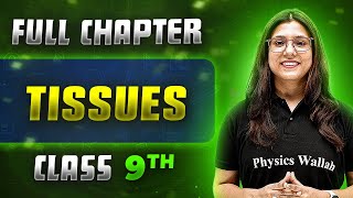 Tissues FULL CHAPTER  Class 9th Science  Chapter 6  Neev [upl. by Gerdeen]