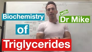 Fatty Acids Glycerol and Lipids  Biochemistry [upl. by Winifred]