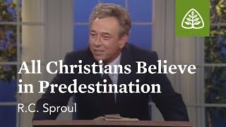 All Christians Believe in Predestination The Classic Collection with RC Sproul [upl. by Dougie]