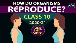 How do organisms Reproduce class 10 fullchapter  Class 10th CBSE biology  ncert class 10 science [upl. by Pennie497]