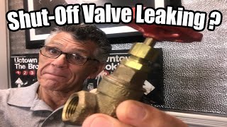 Leaky Shut Off Valve Repair [upl. by True]