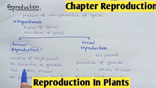 Reproduction in plants  Life Cycle Bryophyte And Gymnosperms  Class 12 Biology [upl. by Yrac]