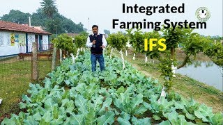 Integrated Farming System IFS  समेकित कृषि प्रणाली  वर्ष भर आमदनी का सुलभ ज़रिया [upl. by Kiehl]