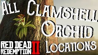 Red Dead Redemption 2  All 10 Clamshell Orchid Locations Duchesses and Other Animals Exotics RDR2 [upl. by Anyrtak234]