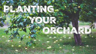 2 Ways to Grow an Orchard [upl. by Nahseez]