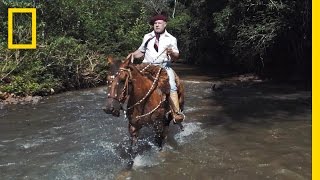 Horses and Solitude Inside the Life of a Brazilian Gaúcho  Short Film Showcase [upl. by Nelhsa]