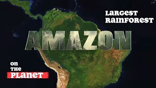 Amazon Rainforest Sounds  South America  Jungle sounds [upl. by Graniela280]