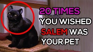 20 Times You Wished Salem Was Your Pet [upl. by Salokin551]