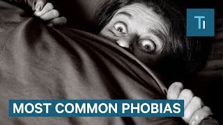 How To Get Over Phobias According To A Psychologist [upl. by Bullard]