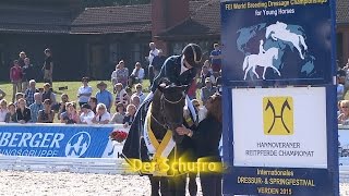 Hannoveraner ReitpferdeChampionat 2015  Dreijährige Hengste [upl. by Sieber]