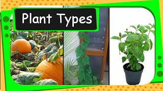 Science  Types of Plants  English [upl. by Mclyman136]