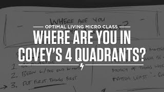 Where are you in Coveys 4 Quadrants [upl. by Flower]