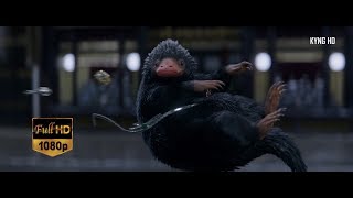 Newt catching Niffler Full HD 1080p [upl. by Roseanne577]