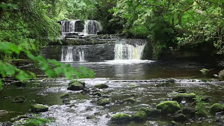 Forest Waterfall Nature Sounds for Sleeping  Relaxing Water Flowing Sound Mindfulness Meditation [upl. by Odirfliw744]