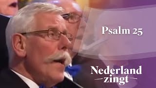 Nederland Zingt Psalm 25 [upl. by Tuck783]