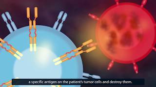 CAR TCell Therapy How Does It Work [upl. by Jamal]