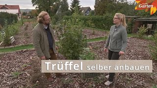 Trüffel im eigenen Garten  MDR Garten [upl. by Irehj]