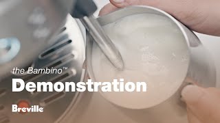 The Bambino™  How to make microfoam milk like a pro  Breville USA [upl. by Ardnohsal352]