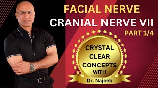 Facial Nerve  Neuroanatomy  Part 14 [upl. by Aicena]