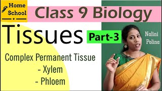 Tissues class 9 Biology Part3 [upl. by Buchalter]