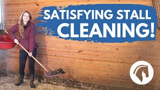 HOW TO CLEAN A HORSE STALL StepByStep [upl. by Nnylatsyrk]