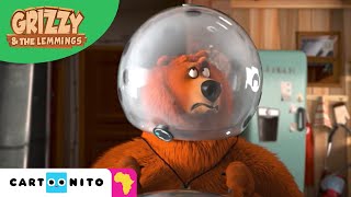 Grizzy and the Lemmings  Zorbing  Cartoonito Africa [upl. by Ititrefen503]