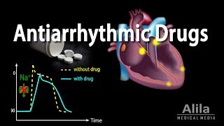 Antiarrhythmic Drugs Animation [upl. by Anneis967]