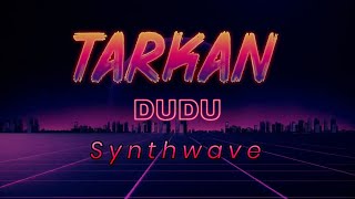 Tarkan  Dudu Synthwave  SoupNatsy [upl. by Esydnac]