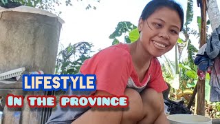 Lifestyle In The Province [upl. by Zsolway]