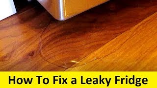 How To Fix a Leaky Refrigerator [upl. by Rumit479]