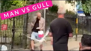 Welsh Seagull Steals Tourists Sausage Roll Outside the Pub with Hilarious Commentary [upl. by Phyllys]