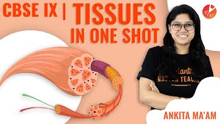 Tissues in OneShot  CBSE Class 9 Biology  Science Chapter 6  Tissues Crash Course NCERT Vedantu [upl. by Elurd]