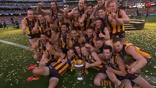 AFL 2014 Grand Final  Hawthorn highlights vs Sydney [upl. by Geoffrey]