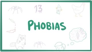 Phobias  specific phobias agoraphobia amp social phobia [upl. by Vaclava60]