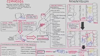 Supraventricular Arrhythmias by C LaGrasta  OPENPediatrics [upl. by Farnham]