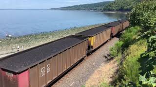 Northbound coal drag at Carkeek Park 8132019 [upl. by Grefer95]