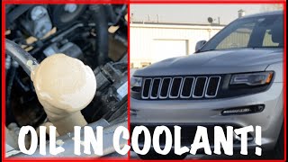 OIL in Coolant Fix  2014 Jeep Grand Cherokee  BLOWN MOTOR [upl. by Kara136]