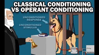 CLASSICAL VS OPERANT CONDITIONING [upl. by Aihsela]