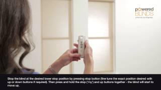 Motorised Roller Blind  Reset Procedure [upl. by Krm]