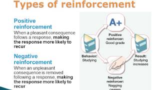 Operant Conditioning Positive and Negative Reinforcement and Punishment [upl. by Maximo476]