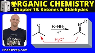 196a Addition of Primary Amines Imine Formation [upl. by Nobell77]