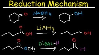 NaBH4 LiAlH4 DIBAL Reduction Mechanism Carboxylic Acid Acid Chloride Ester amp Ketones [upl. by Ssilem]