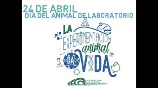 La experimentación animal da vida [upl. by Martens]