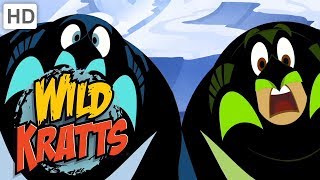 Wild Kratts 🐧 Penguin Powers ❄ Happy Holidays ❄ Kids Videos [upl. by Florenza210]