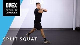 Split Squat [upl. by Anma]